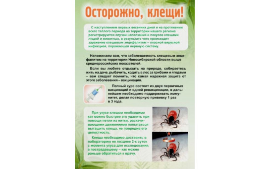 Осторожно, клещи! С наступлением тепла появляется желание больше времени проводить на природе. Но не следует забывать об опасностях, которые нас подстерегают. Одна из них — клещи.