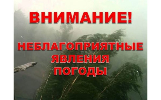В Новосибирской области 17 апреля днём и в ночь на 18 апреля 2025 года прогнозируется ухудшение погоды